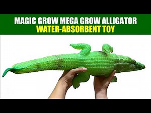 Magic Grow Mega Grow Alligator: Water-Absorbent Toy
