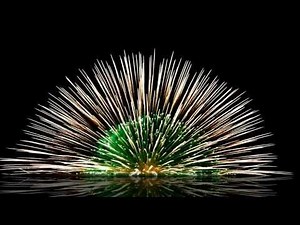 Background Video HD Effects