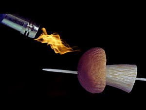 Macro crush 🔥🔬 - Part 2 | Macro zoom videos - frying mushroom, burning wooden clip and more