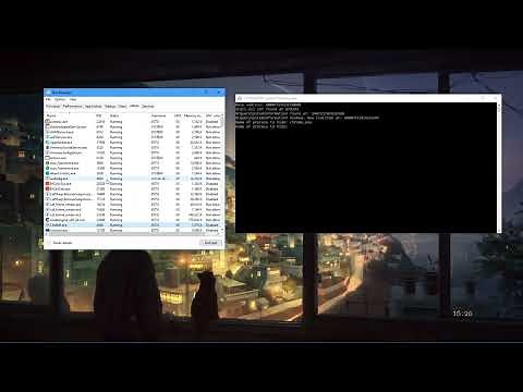 Hiding process/programs from Windows Task Manager
