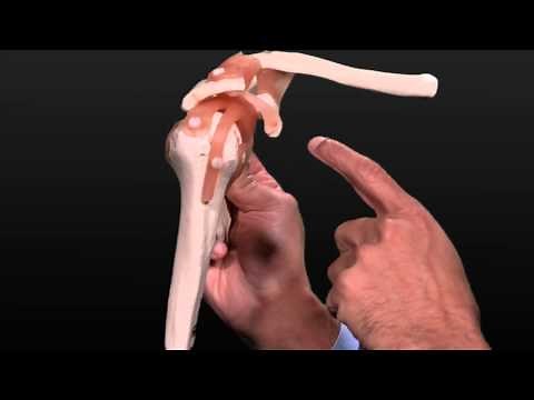 Shoulder Replacement Surgery