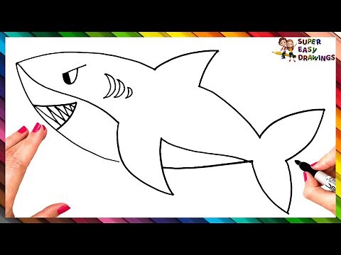 How To Draw A Shark Step By Step 🦈 Shark Drawing Easy