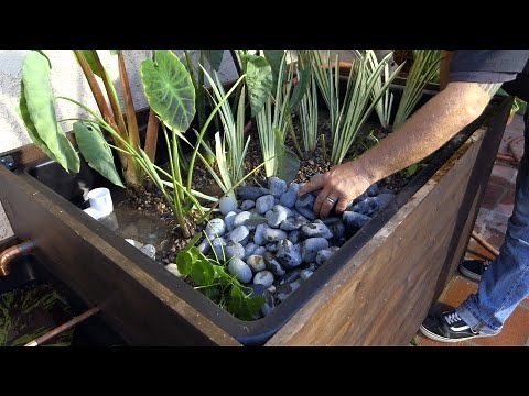 Patio Pond with Bog Filter | Planting the Pond Plants - Part 11