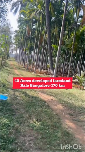 39K views · 225 reactions | 40 Acres Developed Farmland for Sale |...