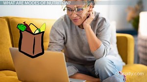 Nutrition in Plants | Overview & Examples