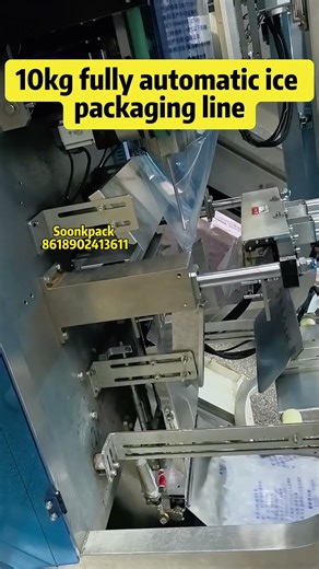 10kg fully automatic ice cube packaging machine #icepackingmachine