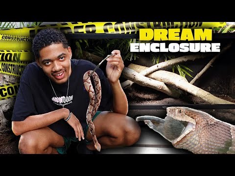 New ENCLOSURES IN THE REPTILE ZOO..