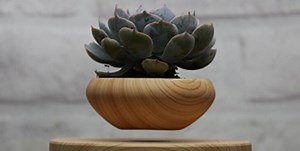 It's Hard to Believe These Levitating Planters Are for Real
