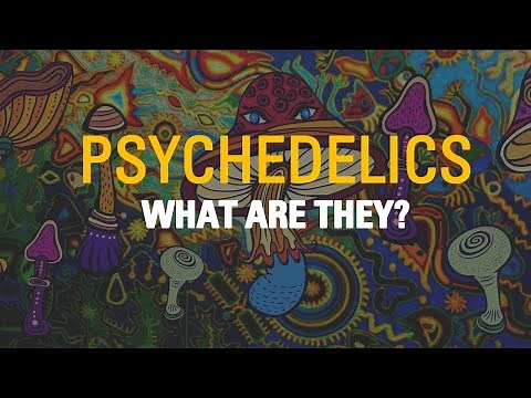 Psychedelics Explained | Revealing The Mind