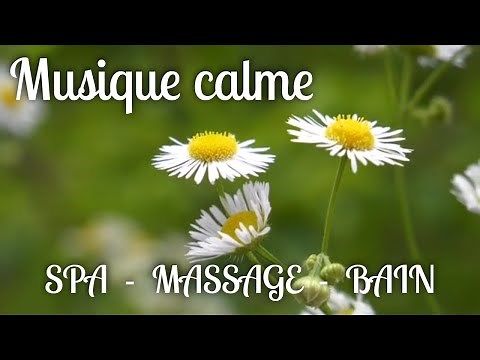 Spa Musique Zen Pour Massage 💆‍♂️ Musique Calme Pour Prendre Un Bain