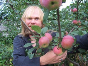 Homemade Recipes to Help Control Apple Maggots and Ants