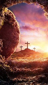 Mass Homily and Reflections by Fr. Frank Pavone | Frank Pavone