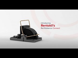 Rat Riddance Connect: A non-toxic, smart snap trap | Rentokil
