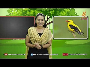 KITE VICTERS STD 04 Environmental Studies Class 23 (First Bell-ഫസ്റ്റ് ബെല്‍)