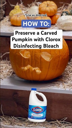 How to Make Your Pumpkin Last Longer with Bleach