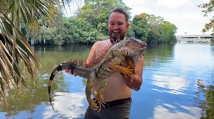 19K views · 501 reactions | Client Becomes Florida Man By Wrestling Monster Iguana Off The Bottom Of A Deep Canal | Python Cowboy Hunts | Facebook