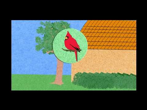 The Language of Birds