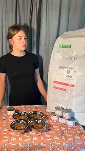 This is how we feed our mums with puppies! 🐶🍼 We love using Nature’s Protection — it keeps our dogs in great condition, mums have plenty of milk, and the puppies grow strong and healthy! 💚 #NaturesProtection #HealthyMumsHealthyPups #PuppyCare #DogBreederLife #FeedingTime #HappyDogs #mistymeadows #chihuahuapuppy | Misty Meadow's Chihuahuas & Pointers & Toy Poodles