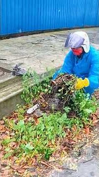 From Flooded to Flowing Street Drain Rescue After Rain 🌧️