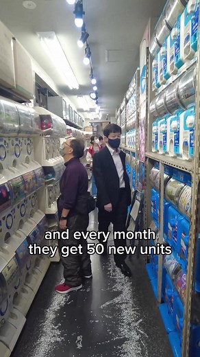 TikTokでjinfromjapansubさんをチェック！