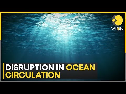 Climate Change disrupts ocean circulation, breakdown could disrupt global ecosystem | WION