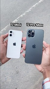 iPhone 12 Mini Vs iPhone 12 Pro Max || Camera Zoom Test! #shorts