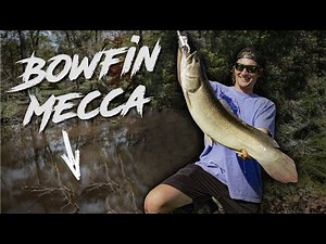 Bowfin fishing in BOWFIN HEAVEN (How to fish for bowfin)