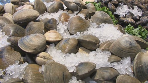 WA officials warn of toxic shellfish on Washington's Pacific Coast