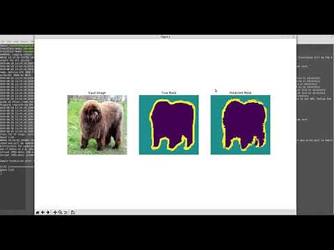 Image segmentation python