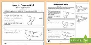 KS2 How to Draw a Bird Step-by-Step Instructions