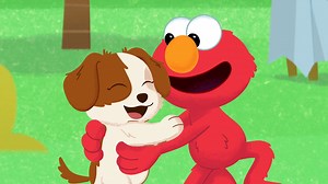 Are you ready to meet Tango!? Tune in to our HBO Max special on August 5th to welcome our new furry friend to Sesame Street. Elmo can't wait! 🐶❤️ #FurryFriendsForever | Sesame Street