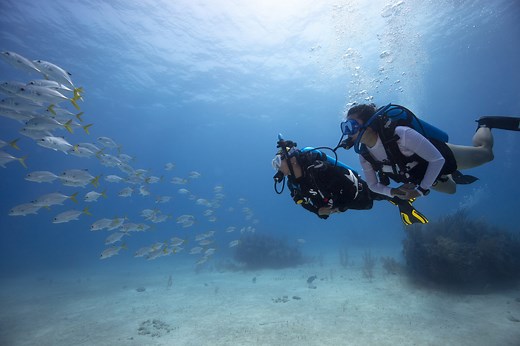 What Is Scuba Diving?