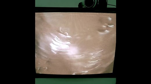 Carolee Schneemann- Interior Scroll (The Cave)1975