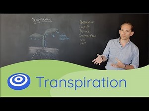 Transpiration - GCSE science, biology (9-1)