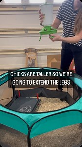 9.5K views · 418 reactions | Here’s how I refresh my chick brooder...