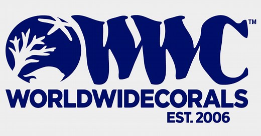 LED Lighting Presets