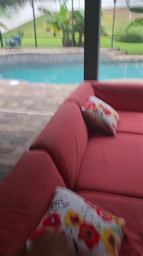 Daily Crow Feeding Ritual and Their Smart Reminder