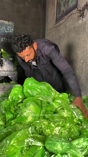 Recycling Waste Plastic Bags To Make Green Pellets!