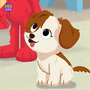 5.8K views · 461 reactions | Bringing a pet into the family is a lot of responsibility! Is Elmo ready to take care of Tango, the cutest puppy in the world? Stream episodes of Sesame Street, including the special episode "Furry Friends Forever," free on PBS KIDS! | PBS KIDS | Facebook