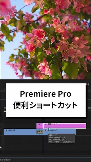 必須ショートカットキー9選【Premiere Pro/プレミアプロ チュートリアル】