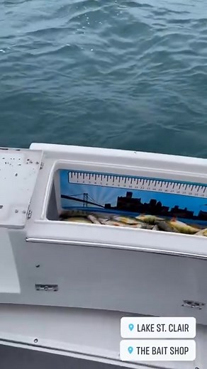 #fishing | Long Line Charters