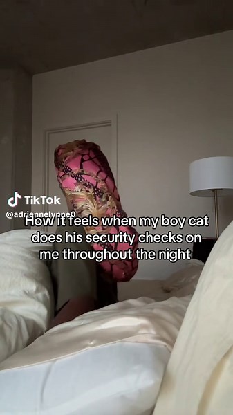 He does not play about his mama! #catmom #fypシ #catsoftiktok #catlover