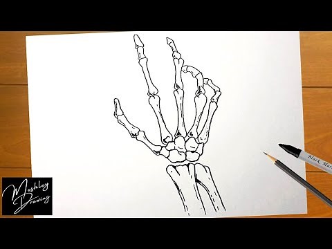How to Draw a Skeleton Hand Easy Step by Step