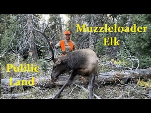 Colorado Muzzleloader Elk Hunt - DIY Public