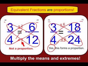 What is a Proportion?