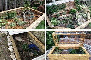 How to Build the Ultimate Outdoor Box Turtle Habitat (Step-by-Step Guide)