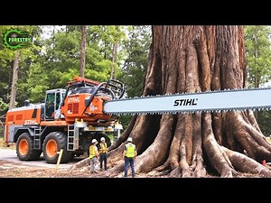 Extreme Dangerous Fastest Big Chainsaw Cutting Tree Machines | Monster Stump Removal Excavator #132