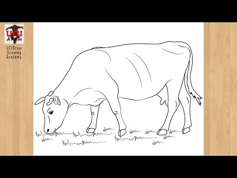 How to Draw a Cow Easy Drawing | Step by Step Cow Sketch for Beginners Art
