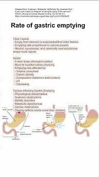 Rate of gastric emptying