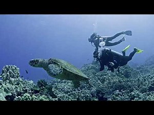 Meet the New SCUBAPRO Luna 2.0 Dive Computer